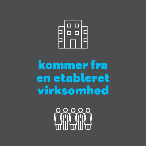 kommer fra en etableret virksomhed