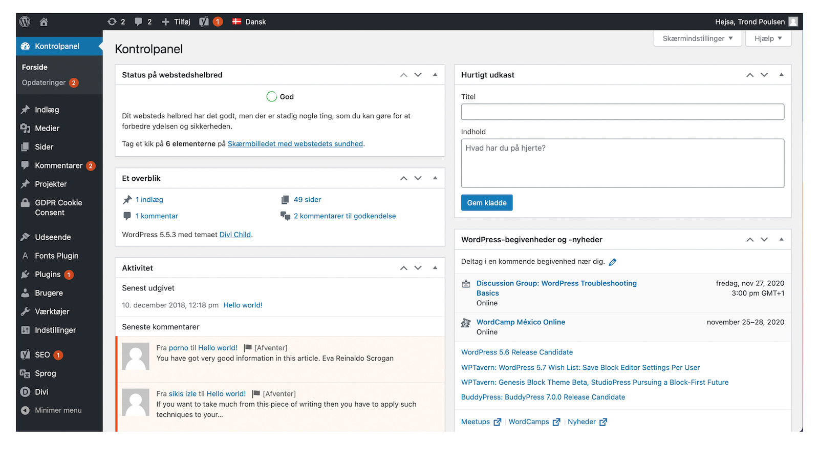Wordpress - Kontrolpanel