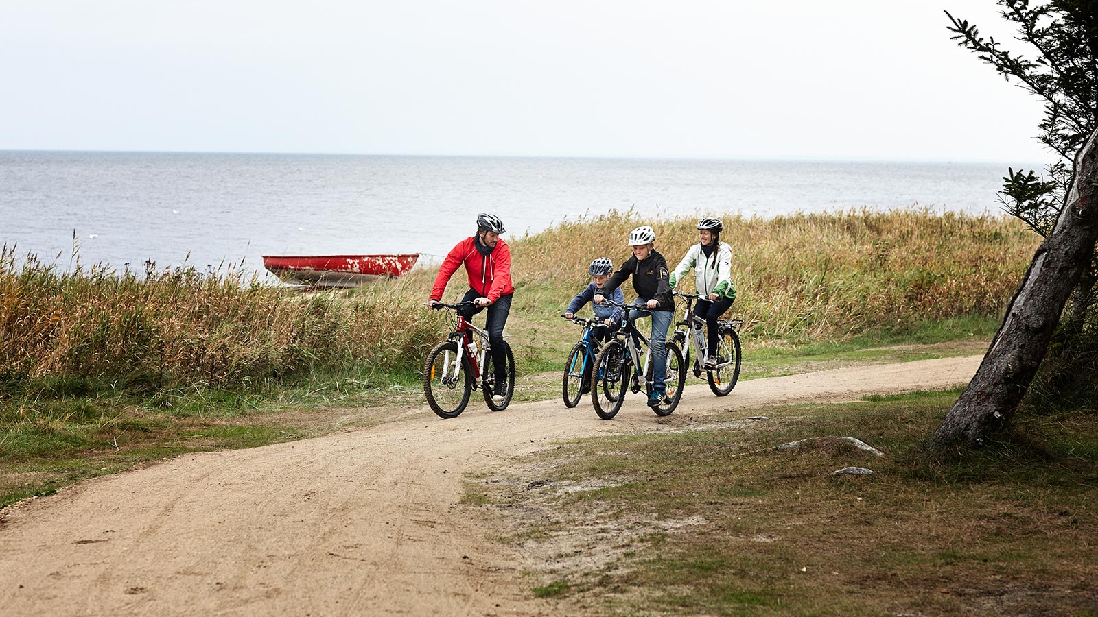Familie på cykelsti i klitter, Holmsland Klit