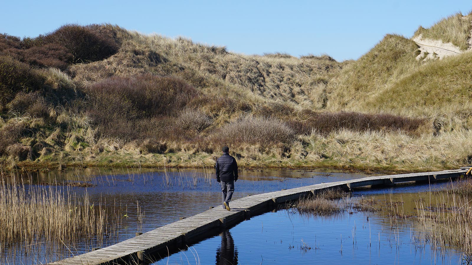 Mand på boardwalk over sø