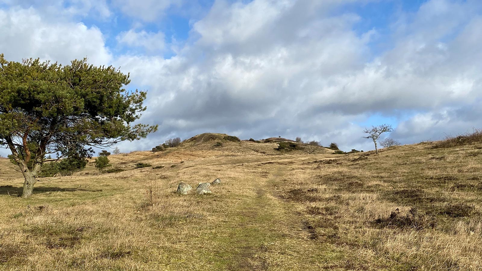 Trehøje - Mols Bjerge