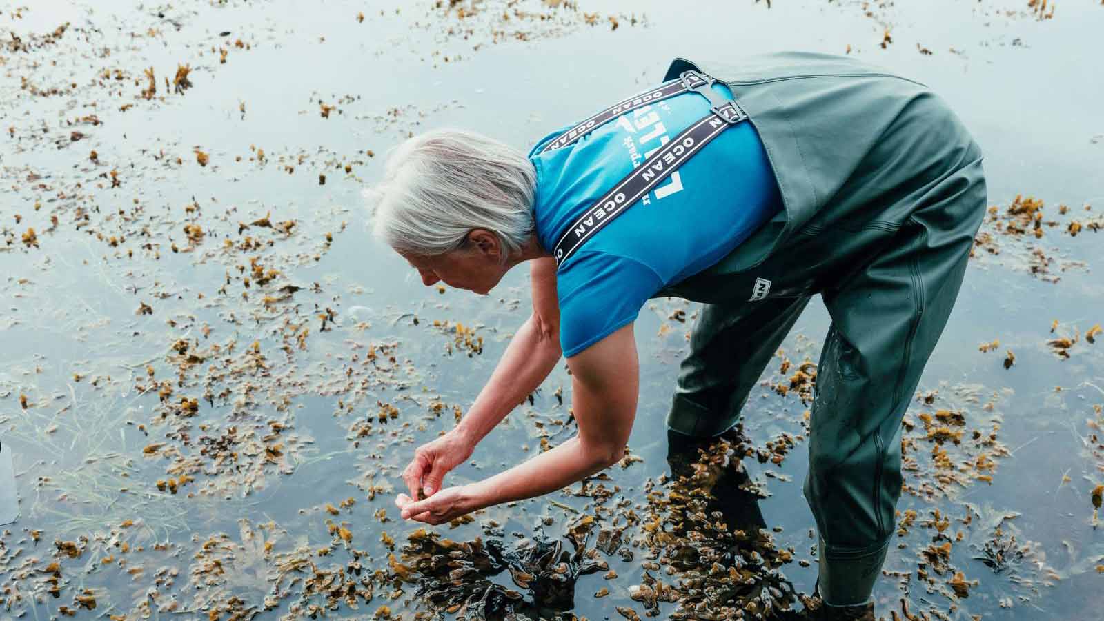 Destination Trekantsområdet