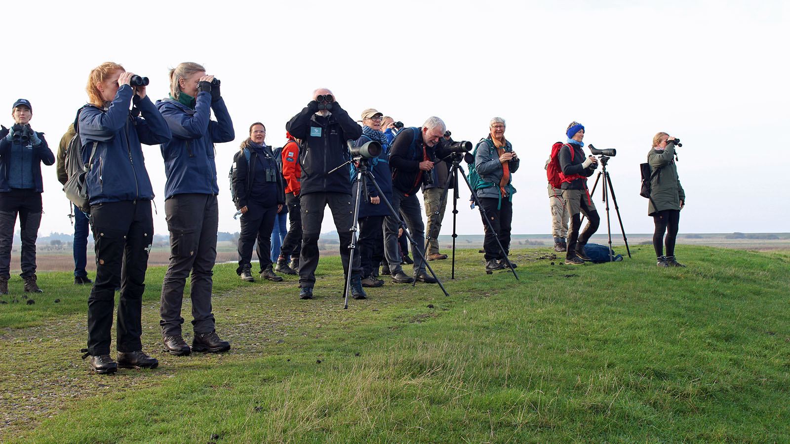 Nationalpark Vadehavet 