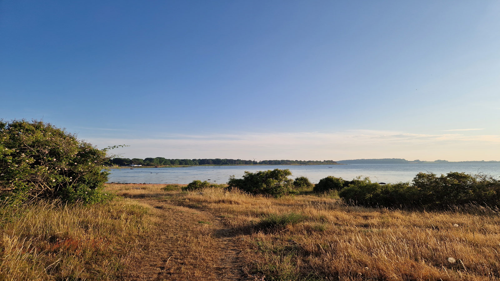 Udsigt fra Orø kyst