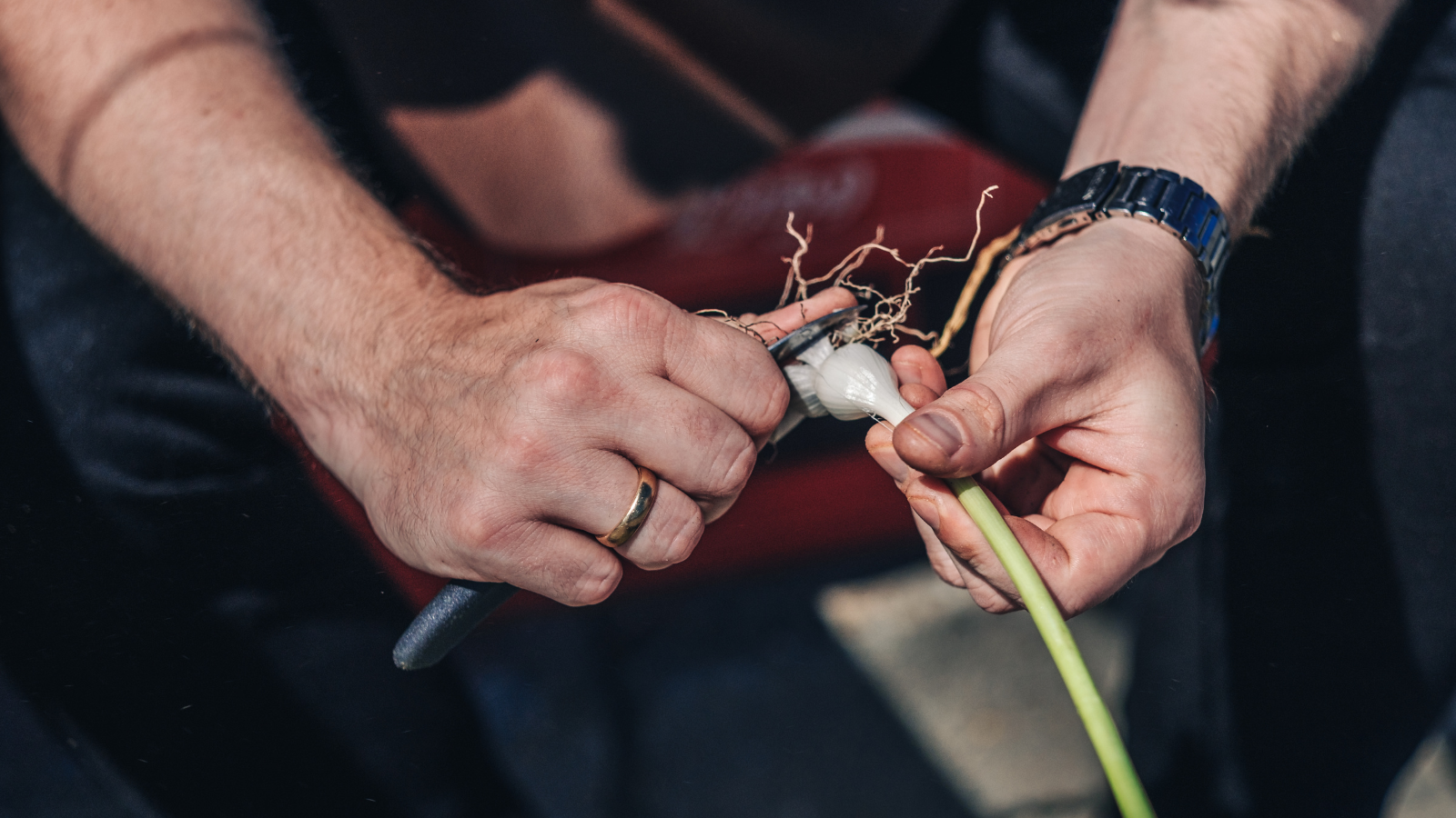 Arbejdskraft nu og til fremtiden