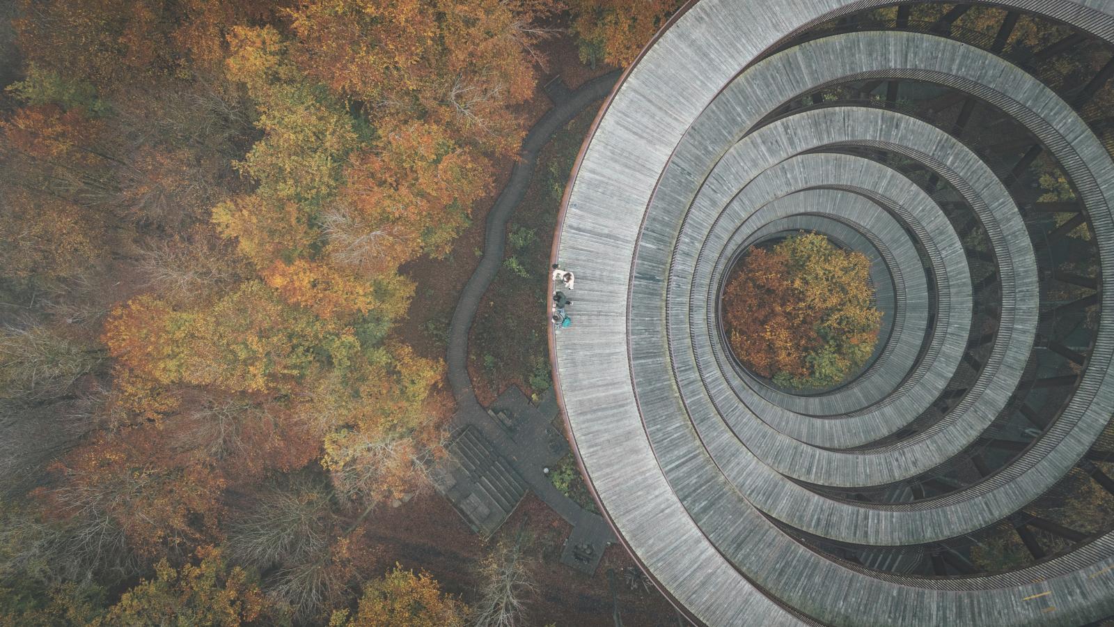 Dronefoto af Skovtårnet Camp Adventure set fra oven. 